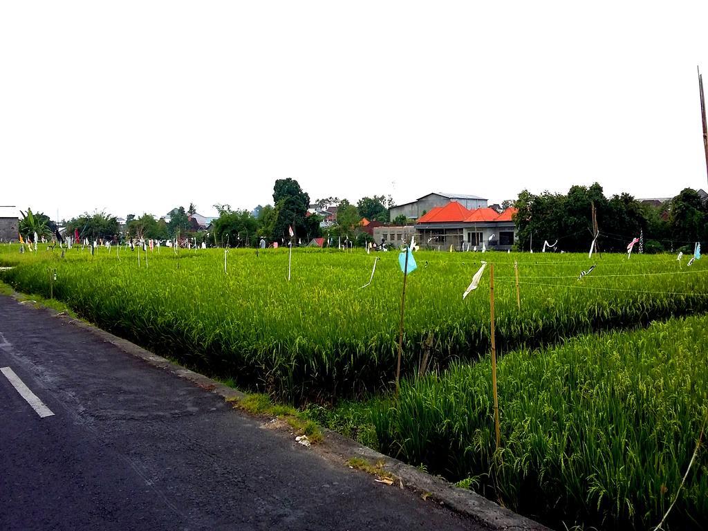 Reddoorz At Kerobokan Seminyak 2 Buitenkant foto